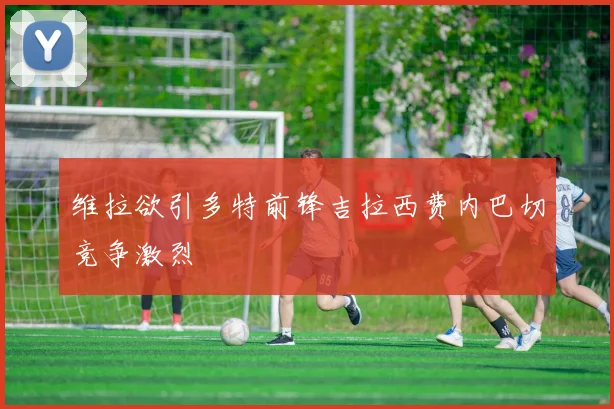 维拉欲引多特前锋吉拉西费内巴切竞争激烈